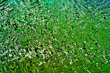 Green Conciousness Ripples  Two | Canvas Print
